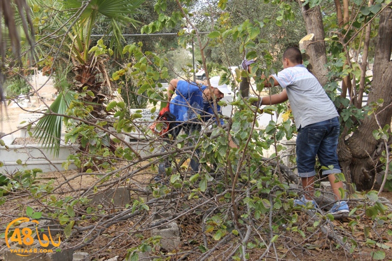 tasoooi3i1412 (50).JPG